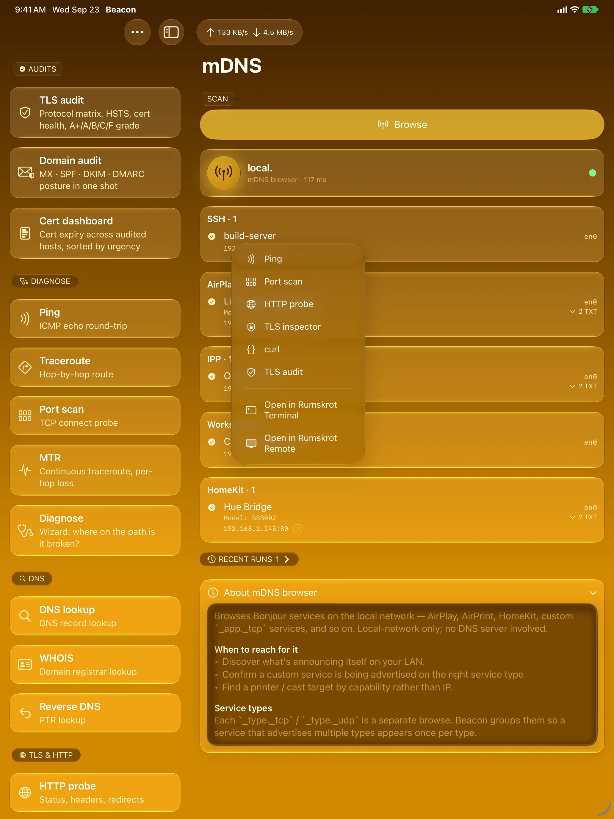 iPad - mDNS browser with routing menu