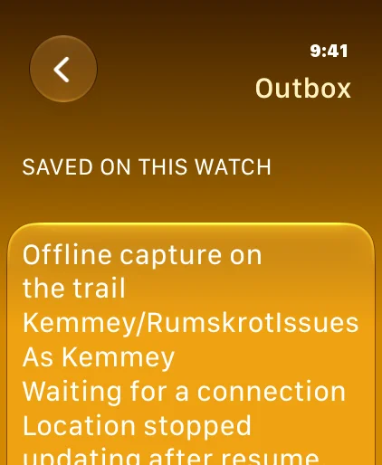Apple Watch: an issue queued until there is a connection