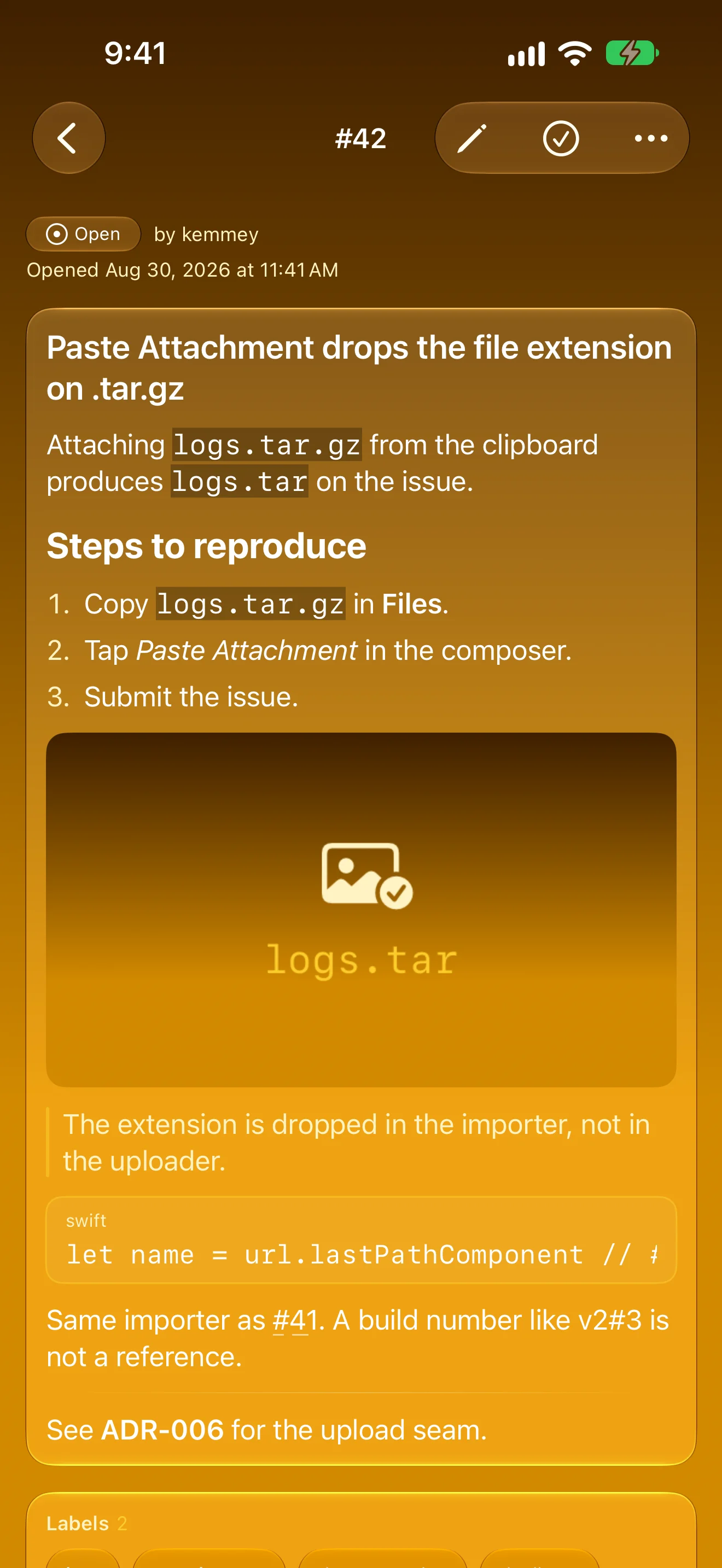 An issue rendered with Markdown headings, a list, an image and a code block
