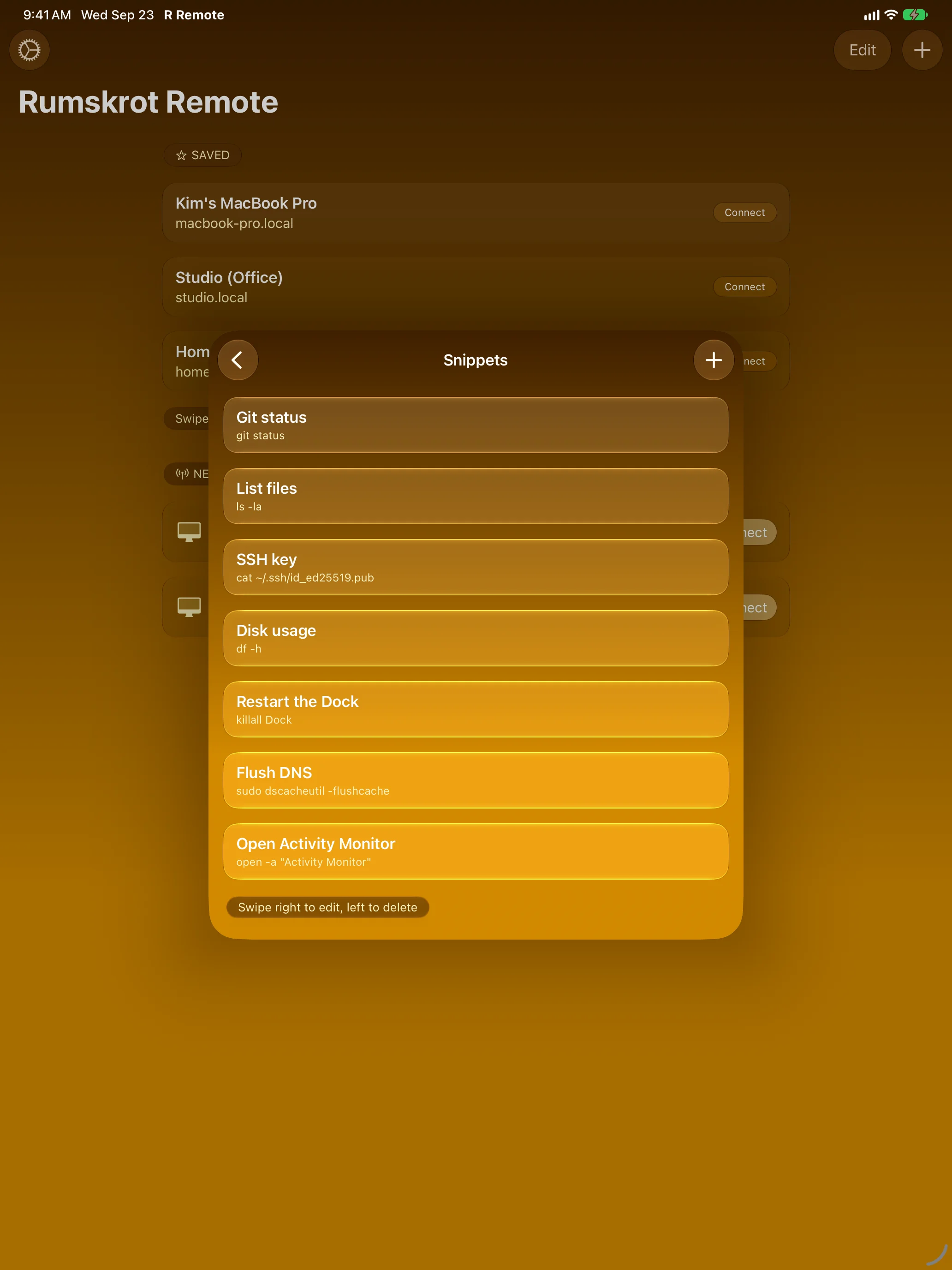 Rumskrot Remote on iPad &mdash; Snippets