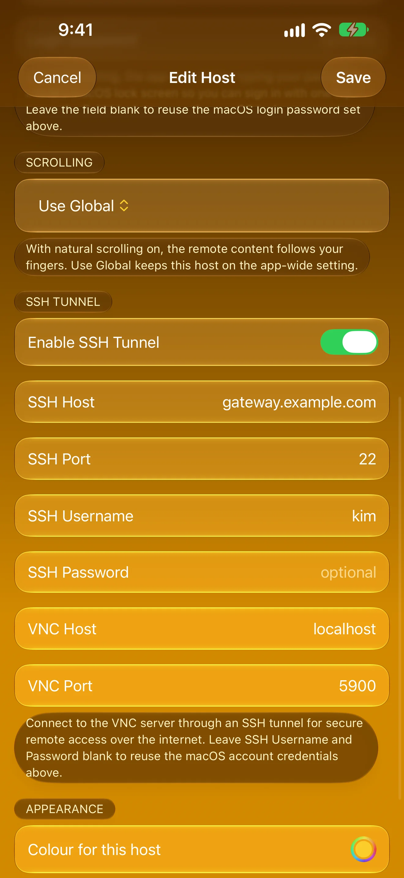 Rumskrot Remote on iPhone &mdash; Host settings