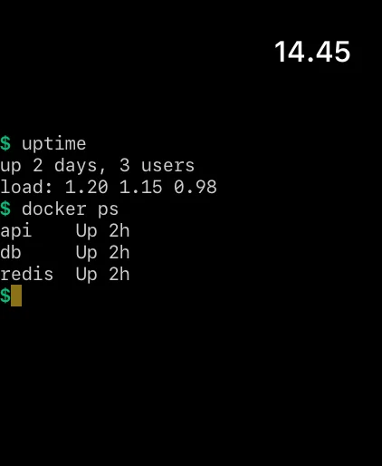 Apple Watch showing live terminal output