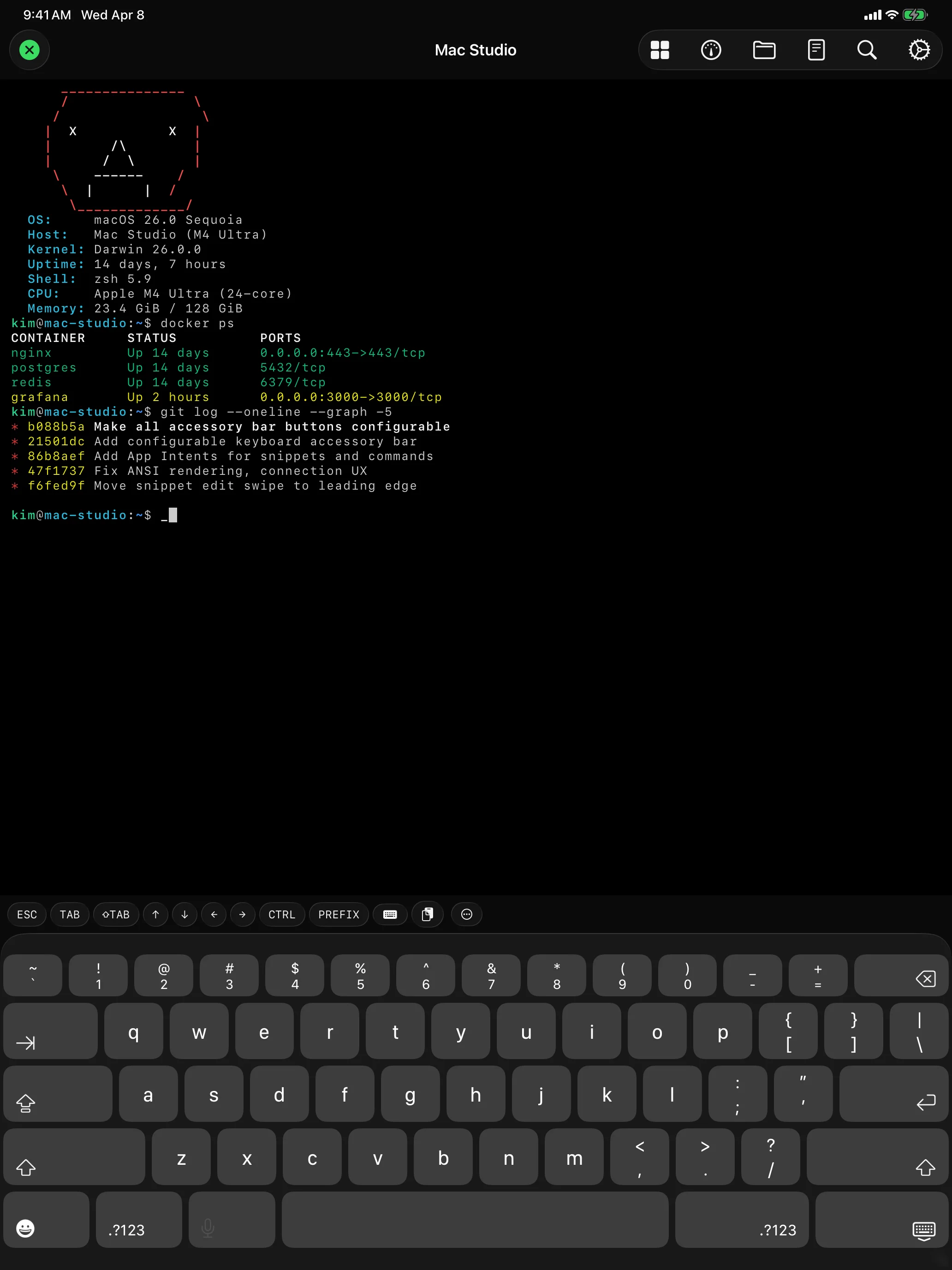 iPad - Terminal