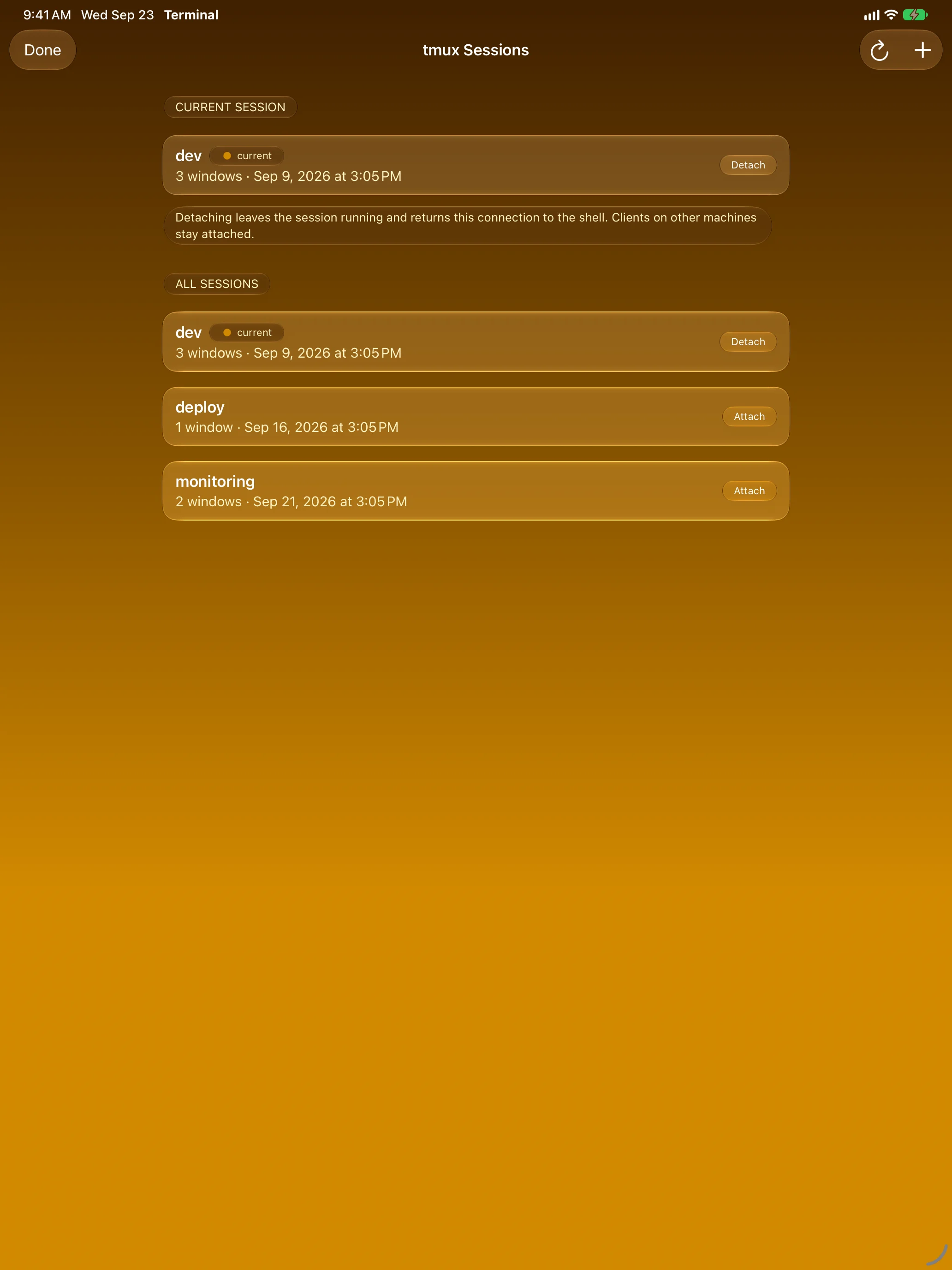 iPad &mdash; tmux session browser with attach and detach buttons