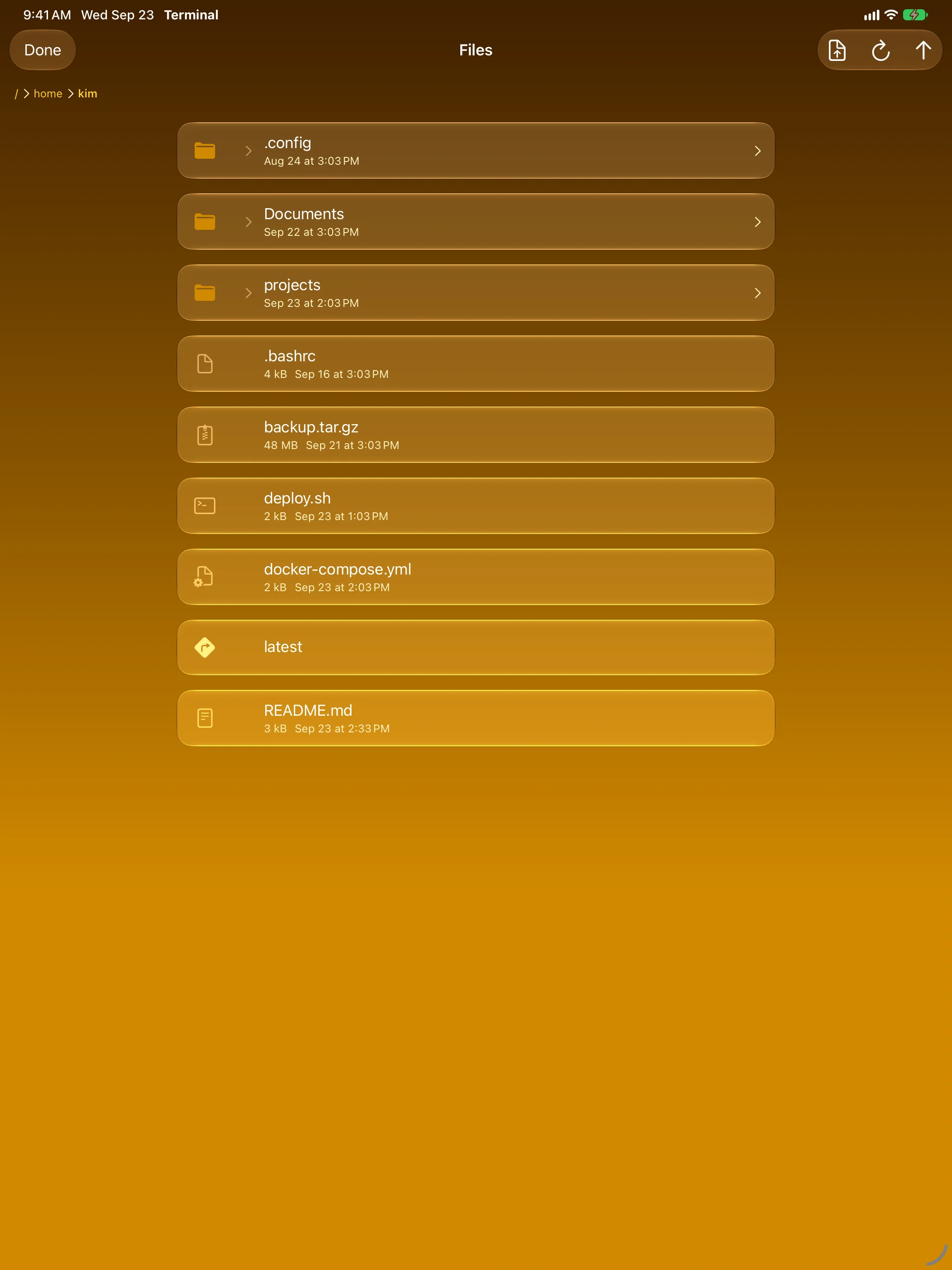 iPad &mdash; SFTP file browser showing a home directory