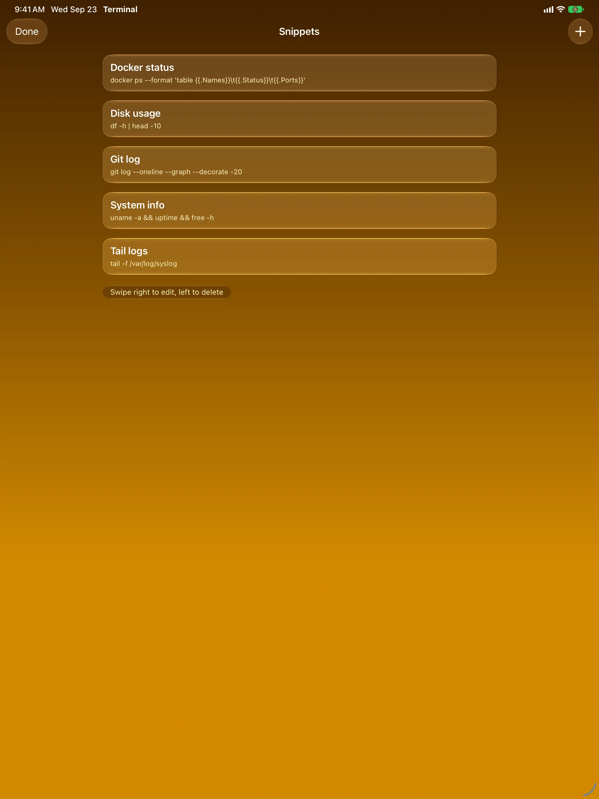 iPad &mdash; Snippet list with saved shell commands